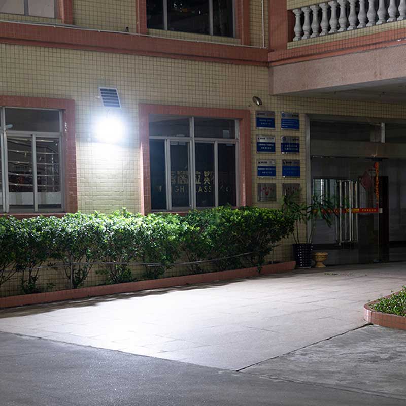 Solar floodlight scheme scene